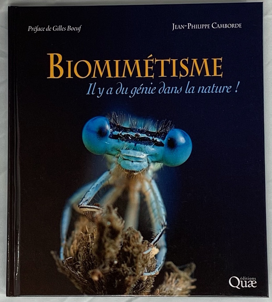 Biomimétisme - Jean-Philippe Camborde | Coopérative Des Apiculteurs D ...